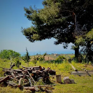 https://villa-chiara-montallegro.sicilyhotelsitaly.net